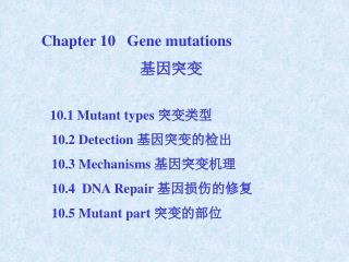 Chapter 10 Gene mutations 基因突变 10.1 Mutant types 突变类型 10.2 Detection 基因突变的检出