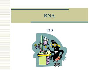 RNA