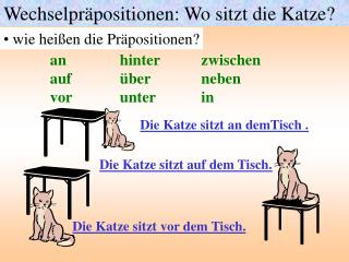 Wechselpräpositionen: Wo sitzt die Katze?