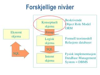 Forskjellige nivåer