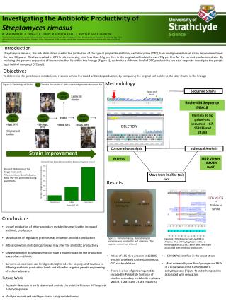 Investigating the Antibiotic Productivity of Streptomyces rimosus