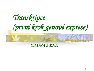 Transkripce (první krok genové exprese)