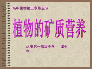 植物的矿质营养