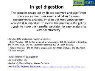 In gel digestion