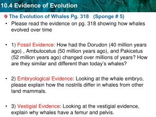 The Evolution of Whales Pg. 318 (Sponge # 5)