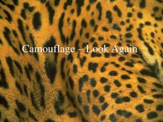 Camouflage – Look Again