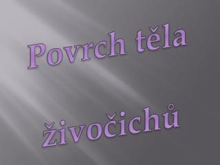 Povrch těla živočichů