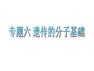 专题六 遗传的分子基础