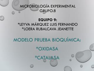Modelo prueba bioquímica: *oxidasa *Catalasa