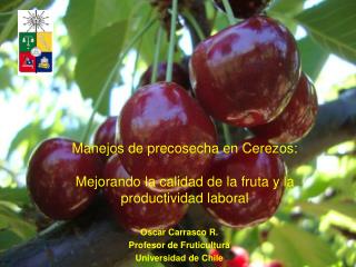 Oscar Carrasco R. Profesor de Fruticultura Universidad de Chile