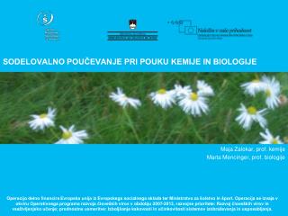 SODELOVALNO POUČEVANJE PRI POUKU KEMIJE IN BIOLOGIJE