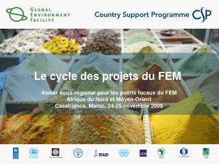 Le cycle des projets du FEM