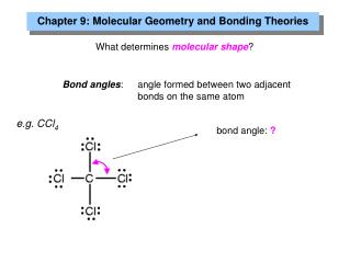 What determines molecular shape ?