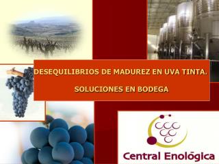 DESEQUILIBRIOS DE MADUREZ EN UVA TINTA. SOLUCIONES EN BODEGA