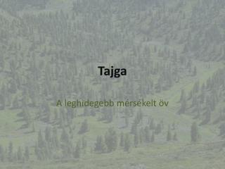 Tajga