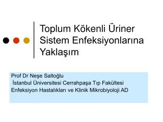 Toplum Kökenli Üriner Sistem Enfeksiyonlarına Yaklaşım