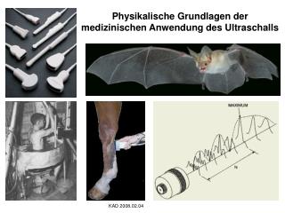 Physikalische Grundlagen der medizinischen Anwendung des Ultraschalls