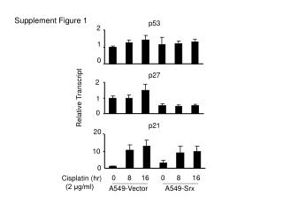 Supplement Figure 1