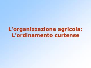 L’organizzazione agricola: L’ordinamento curtense