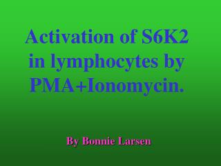 Activation of S6K2 in lymphocytes by PMA+Ionomycin.