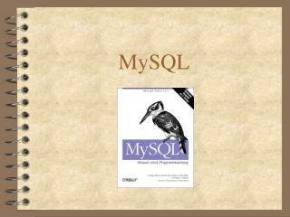 MySQL