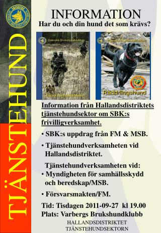 TJÄNSTEHUND