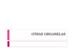 OTRAS ORGANELAS