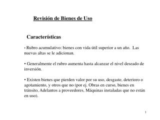 Revisión de Bienes de Uso