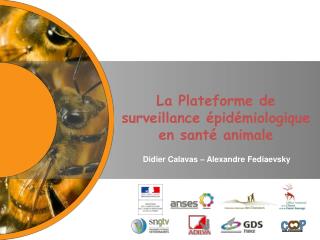 La Plateforme de surveillance épidémiologique en santé animale