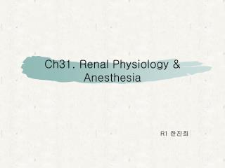 Ch31. Renal Physiology &amp; Anesthesia