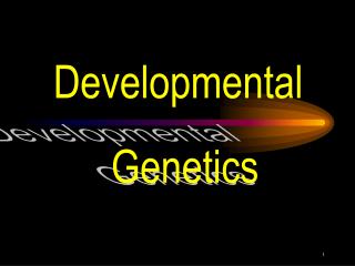 Developmental Genetics