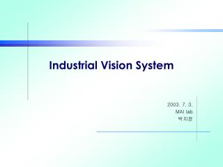 Industrial Vision System