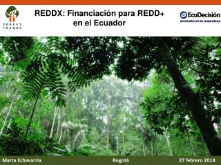 REDDX: Financiación para REDD+ en el Ecuador