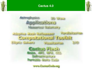 Cactus 4.0