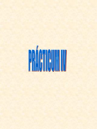 PRÁCTICUM IV