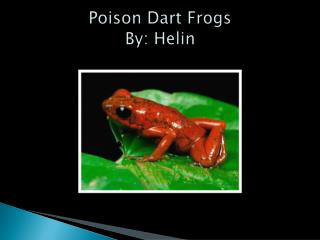 Poison Dart Frogs By: Helin