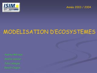 Année 2003 / 2004