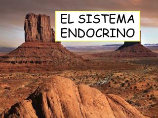 EL SISTEMA ENDOCRINO