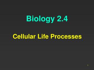 Biology 2.4