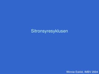 Sitronsyresyklusen