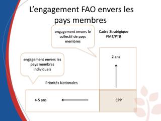 L’engagement FAO envers les pays membres