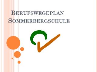 Berufswegeplan Sommerbergschule