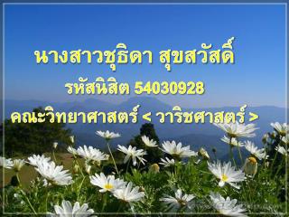 นางสาวชุธิดา สุขสวัสดิ์ รหัสนิสิต 54030928 คณะวิทยาศาสตร์ &lt; วาริชศาสตร์ &gt;