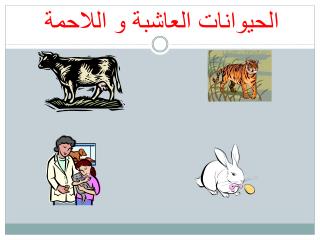 الحيوانات العاشبة و اللاحمة