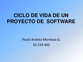 CICLO DE VIDA DE UN PROYECTO DE SOFTWARE