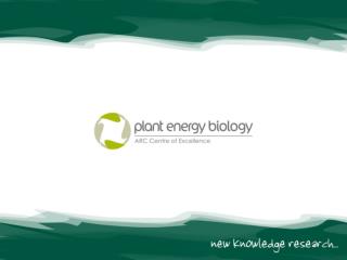 Plant Energy Biology