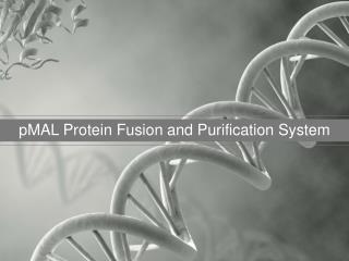 pMAL Protein Fusion and Purification System