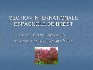 SECTION INTERNATIONALE ESPAGNOLE DE BREST