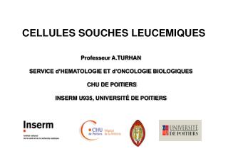 CELLULES SOUCHES LEUCEMIQUES