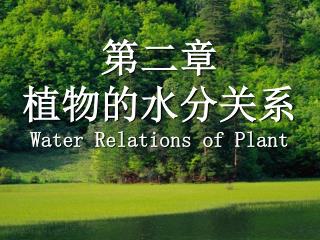 第二章 植物的水分关系 Water Relations of Plant
